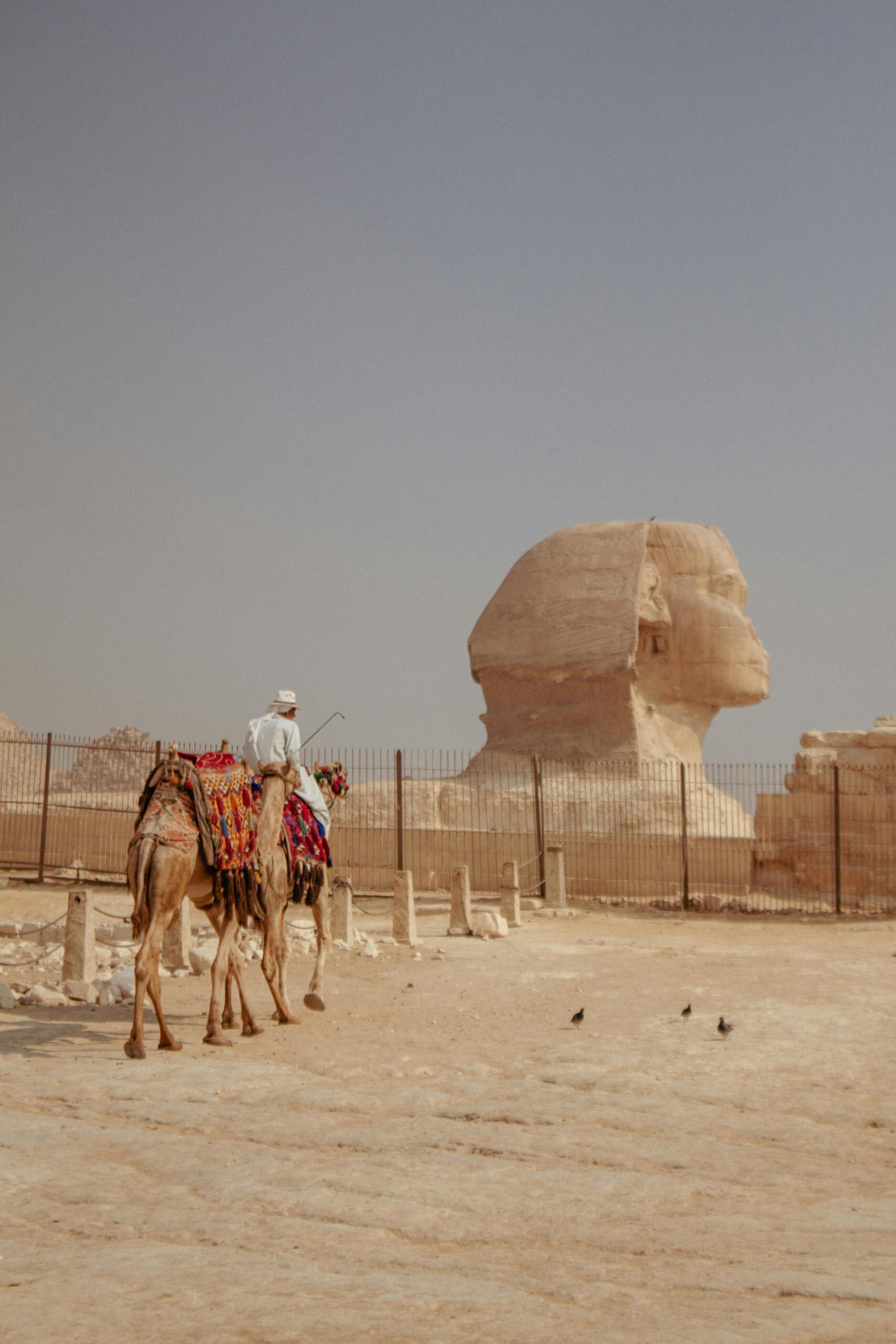 tượng nhân sư 4 tượng nhân sư 4